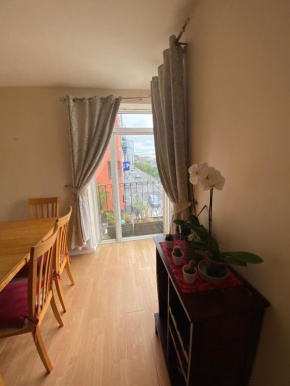 Apt in Limerick city, spacious spaces, great view on Shannon river, close to all amenities