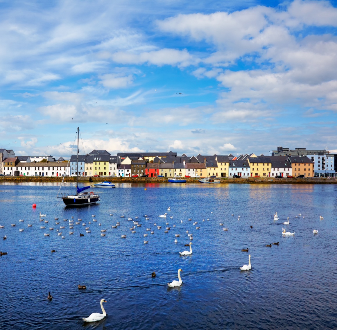 'The Claddagh in Galway city during summertime, Ireland.' - Ireland