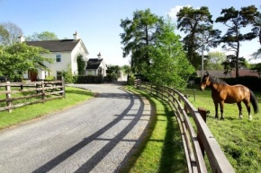 Bracklin Country House and Stables