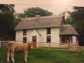 Danloes Thatched Cottage