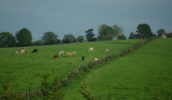 'Standard Irish scenery' - Ireland